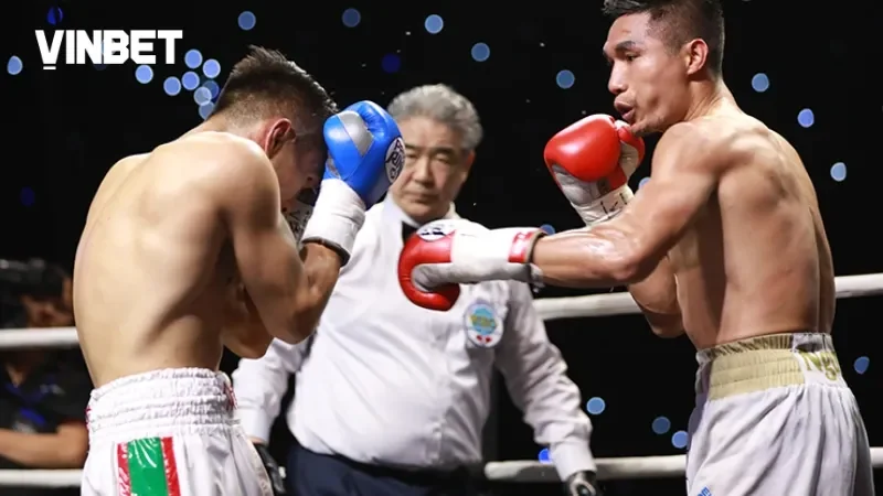 Hướng dẫn cá cược boxing Vinbet